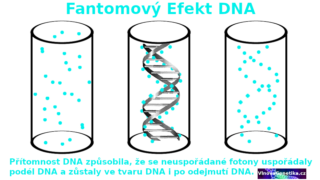 DNA má v sobě zprávu - 